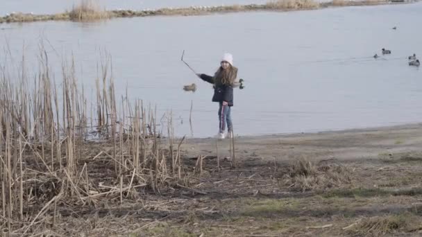 Retrato de una niña linda llamando a una mascota de pie en la orilla del río. Niña morena descansando con Pinscher al aire libre. Estilo de vida, ocio, relajación, alegría . — Vídeo de stock