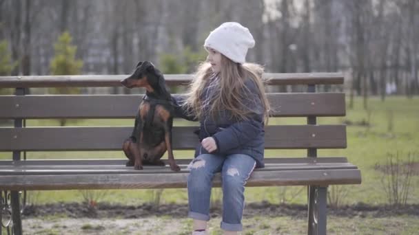 Liten flicka sitter med miniatyr pinscher på bänken i höst eller våren park. Porträtt av vit husdjursägare med hund utomhus. Fritid, vänskap, livsstil, glädje, lycka. — Stockvideo