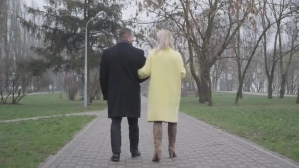 Vista posteriore di elegante coppia caucasica passeggiando lungo il vicolo e parlando. Giovane uomo e donna passeggiando nel parco e chiacchierando. Stile di vita, gioia, svago, unità . — Video Stock