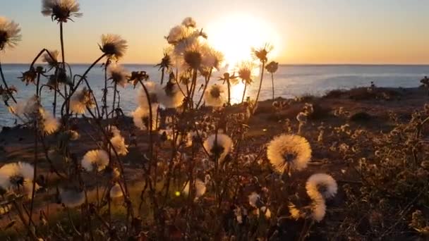 Piękny zachód słońca na południowym brzegu morza. Piękna cypryjska przyroda wieczorem. Świt, słoneczny krajobraz, spokój. — Wideo stockowe