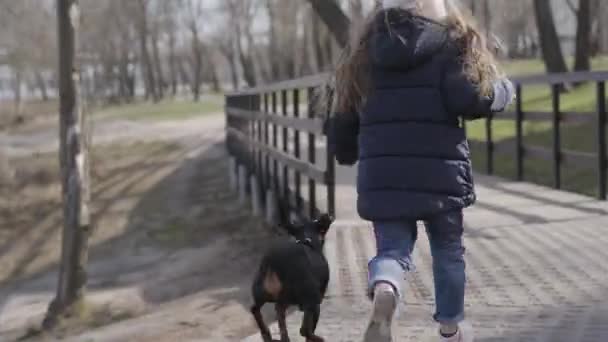Kamera küçük kızı takip ediyor ve küçük bir pinscher sokak boyunca parkta koşuyor. Neşeli çocuk ve evcil hayvanın güneşli bahar ya da sonbahar günlerinde dışarıda eğlenmesi. Boş zaman, neşe, yaşam tarzı. — Stok video