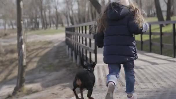 Cámara siguiendo niña y pequeño pinscher corriendo en el parque a lo largo del callejón. Vista posterior de niños alegres y mascotas divirtiéndose al aire libre en el soleado día de primavera u otoño. Ocio, alegría, estilo de vida . — Vídeos de Stock