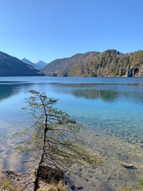 Neuschwanstein kalesinin yakınlarındaki güneşli bir günde Alpsee Gölü 'nün göz kamaştırıcı manzarası. Schwangau, Bavyera, Almanya