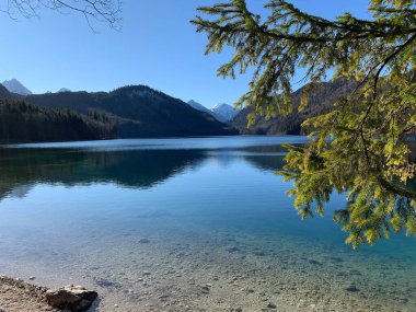 Neuschwanstein kalesinin yakınlarındaki güneşli bir günde Alpsee Gölü 'nün göz kamaştırıcı manzarası. Schwangau, Bavyera, Almanya