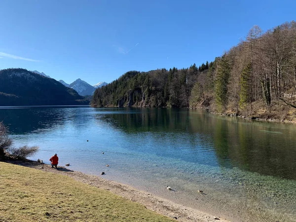 在一个阳光灿烂的日子里 新斯万斯坦城堡附近的阿尔卑斯山脉湖景令人叹为观止 Schwangau Bavaria Germany — 图库照片