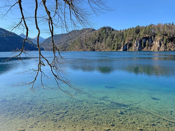 Εκπληκτική Θέα Της Λίμνης Alpsee Μια Ηλιόλουστη Μέρα Κοντά Στο — Φωτογραφία Αρχείου