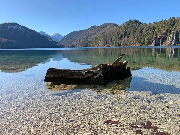 Impresionante Vista Del Lago Alpsee Día Soleado Cerca Del Castillo —  Fotos de Stock