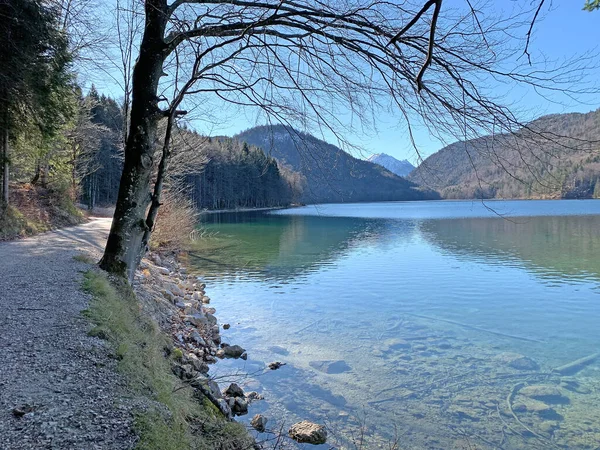 在一个阳光灿烂的日子里 新斯万斯坦城堡附近的阿尔卑斯山脉湖景令人叹为观止 Schwangau Bavaria Germany — 图库照片