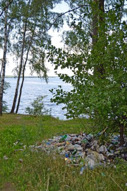Çöp yığını. Ekolojik felaket. Ormanda plastik atık
