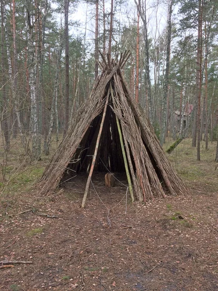 Cabane Forestière Dans Forêt Printemps — Photo