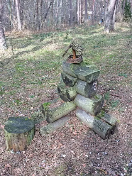 Mangeoires Originales Spéciales Pour Oiseaux Russie Kaliningrad — Photo