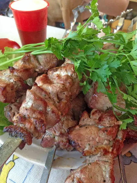 Barbacoa Carne Shashlik Pinchos Carne Cocinada Sobre Fuego —  Fotos de Stock