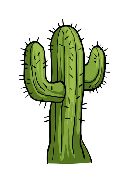 Grøn kaktus plante – Stock-vektor