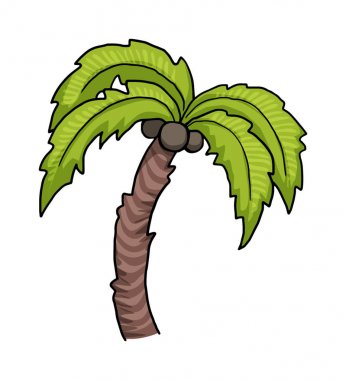 Palmiye ağacı, beyaz izole