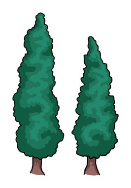 Ağaç, üzerinde beyaz izole