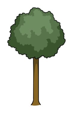 Ağaç, üzerinde beyaz izole