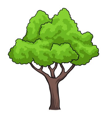 Ağaç, üzerinde beyaz izole