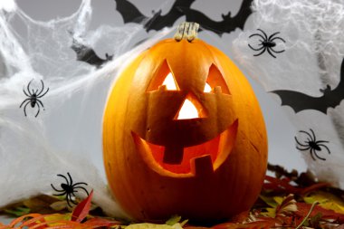 Cadılar Bayramı Balkabağı yapraklarda