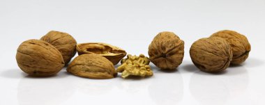 bir kırık fındık ve ceviz