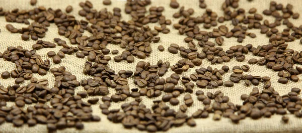 Coffee beans on a background — Stock Photo, Image