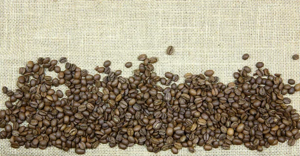 Coffee beans on a background — Stock Photo, Image