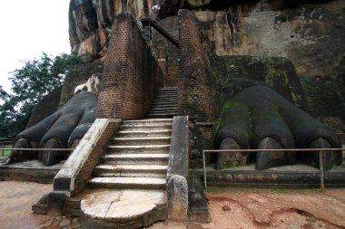 Sri Lanka 'daki Aslan Kayası