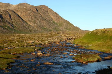 Grönland doğada yaz