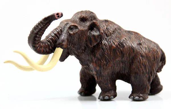 Toy mamut on white background — Stock Photo, Image