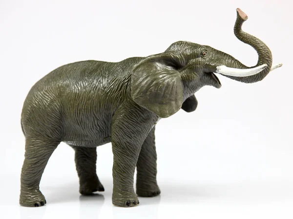 하얀 배경에 있는 장난감 코끼리 스톡 사진