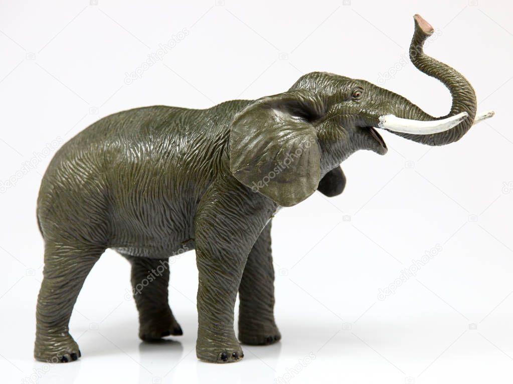 toy elephant on white background