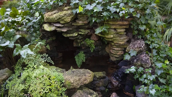 Nature stone wall with exotic plants near a water — 图库照片