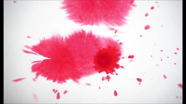 Manchas Color Rosa Pintura Lámina Húmeda Video Corto — Vídeos de Stock