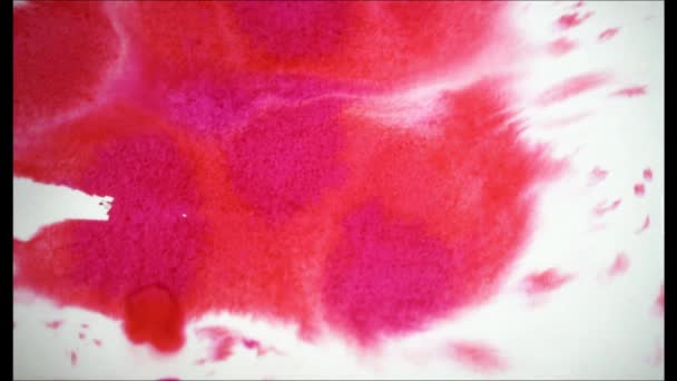 Éclaboussures Peinture Jaune Sur Aquarelle Rouge Brut — Video