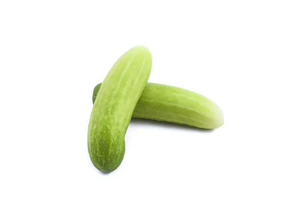 Cucumber one kind of vegetable — Stock Photo, Image