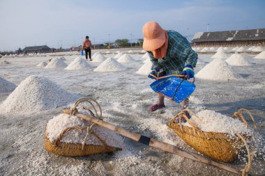 Tayland tuz alanında çalışan çiftçi