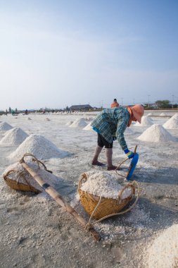 Tayland tuz alanında çalışan çiftçi