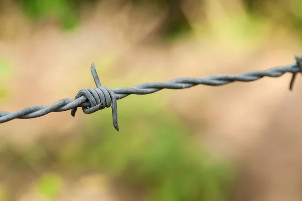 Barbed Wire Fence Forest Background — Stock Photo, Image