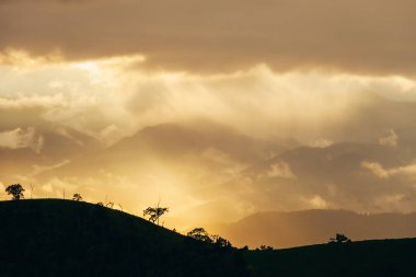 Sis ile ormanda günbatımı.