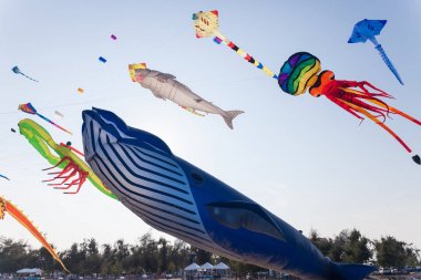 Phetchaburi, Tayland - 27 Mart 2015: 16 Tayland Uluslararası Uçurtma Şenliği 28 Mart 2015 tarihinde Cha - Am Beach, Phetchaburi il Tayland.