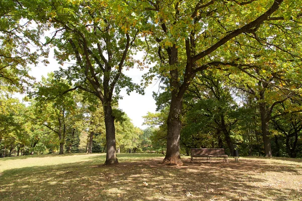 Národní park Kislovodsk. Stavropol, Rusko — Stock fotografie