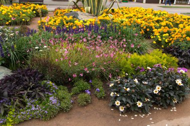 Kislovodsk, Rusya - 19 Eylül 2019 - Kurortnyi Bulvarı, güzel mimar.