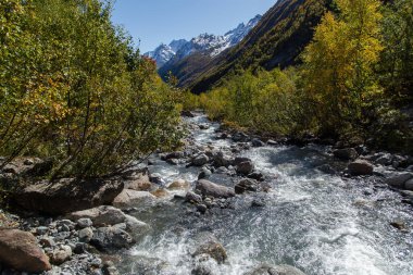 Dombay dağları, ulusal parkta yürüyüş Alibek şelalesi ve buzulu, sonbahar manzarası
