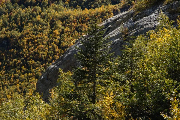 Домбайские горы, треккинг в национальном парке к Алибекскому водопаду и леднику, осенний пейзаж — стоковое фото