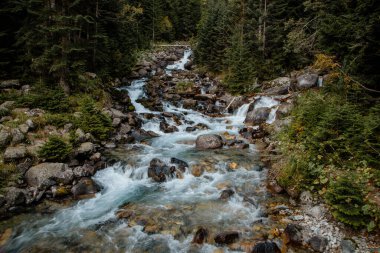 Sonbahar mevsiminde Dombay dağlarında çağlayan şelale. Yeşil yapraklar, sudaki büyük kayalar, sonbahar manzarası.
