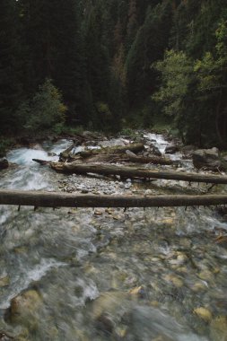 Sonbahar mevsiminde Dombay dağlarında çağlayan şelale. Yeşil yapraklar, sudaki büyük kayalar, sonbahar manzarası.