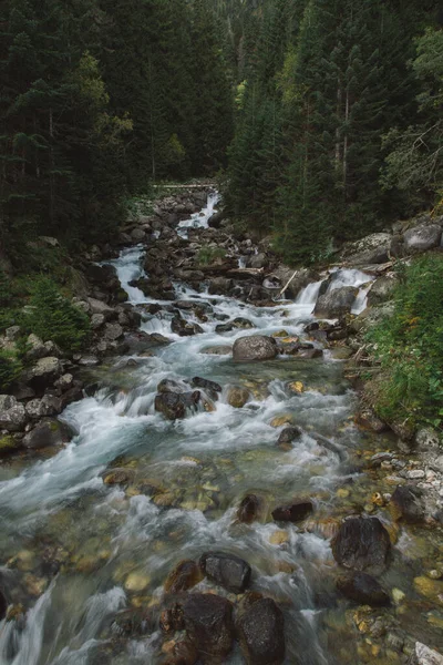 Splashy waterfall in Dombay mountains in autumn season. Green spruces, big rocks in water, fall landscape