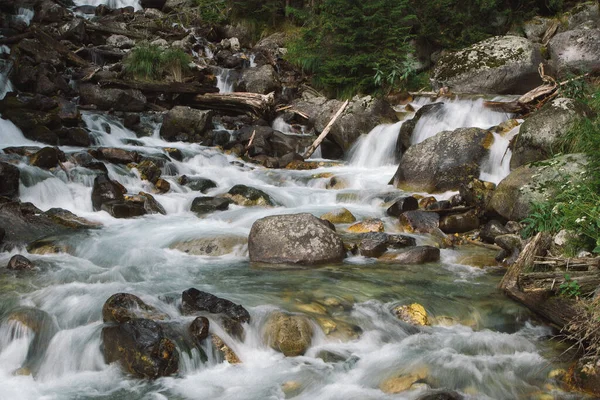 Bela Cachoeira Salpicada Nas Montanhas Dombay Temporada Outono Abetos Verdes — Fotografia de Stock