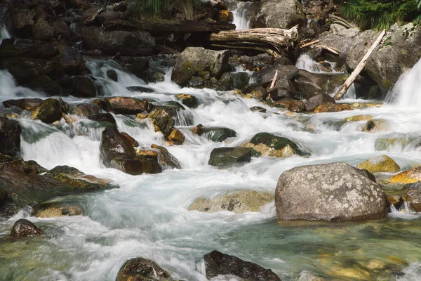 Bela Cachoeira Salpicada Nas Montanhas Dombay Temporada Outono Abetos Verdes — Fotografia de Stock