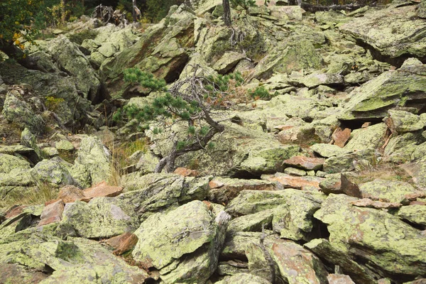 Grande Pile Rochers Pierres Mousseuses Dans Les Montagnes Parc National — Photo