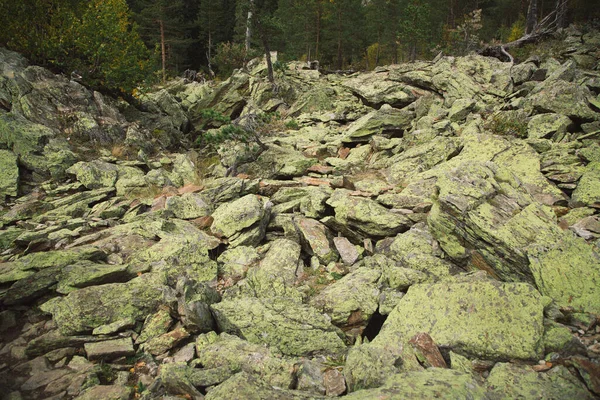 Big Pile Boulders Mossy Stones Mountains Dombay National Park Autumn — Stock Photo, Image